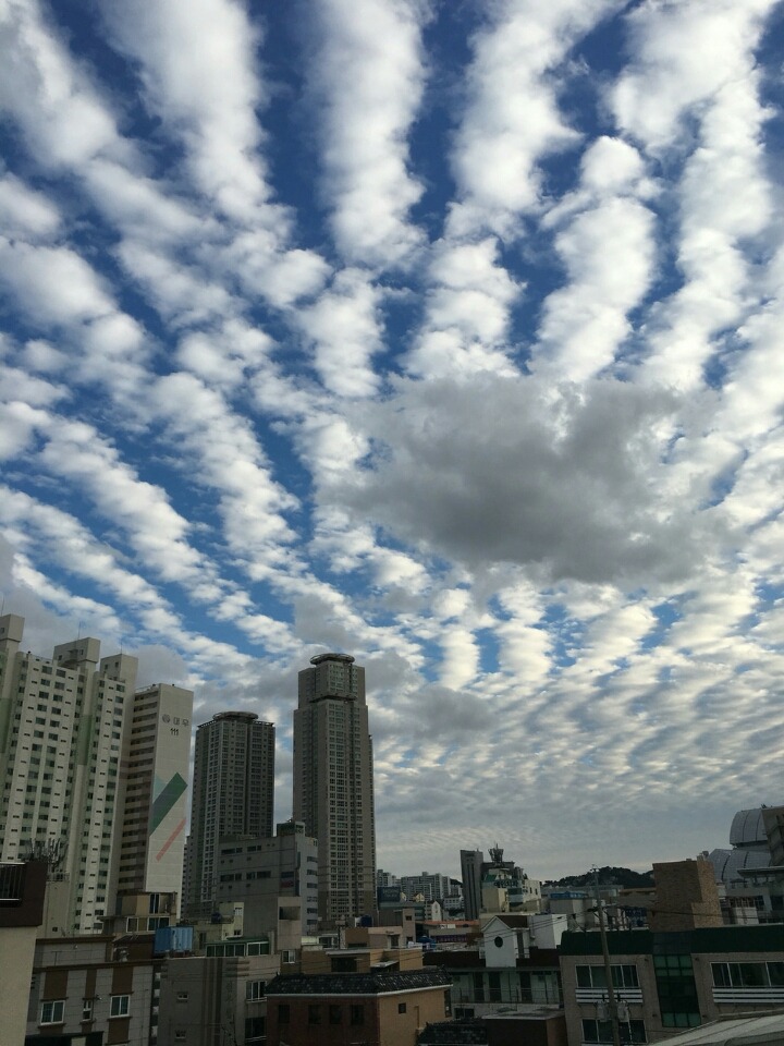 지진운 예언 | 인스티즈