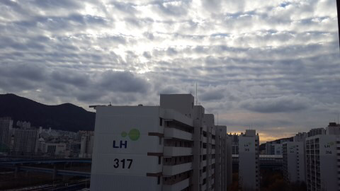 지진운이 보였던 2주전 부산(+김해) | 인스티즈