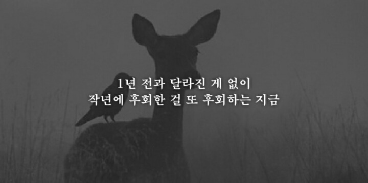 지난 1년을 되돌아 볼때 가장 후회되는 19가지 | 인스티즈