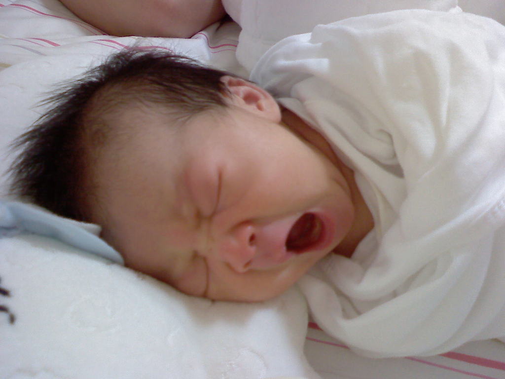 졸릴 때 보면 안 되는 게시물 .jpg | 인스티즈