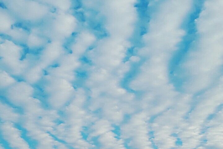 지진운 예언 | 인스티즈