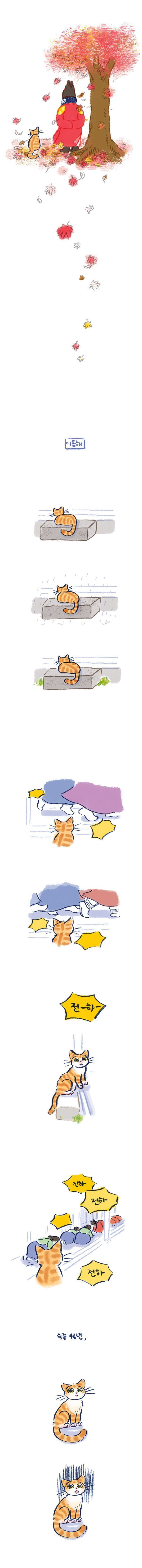 임금님의 고양이 | 인스티즈