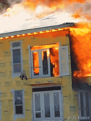 화염속에서 극적으로 탈출하는사람.gif | 인스티즈