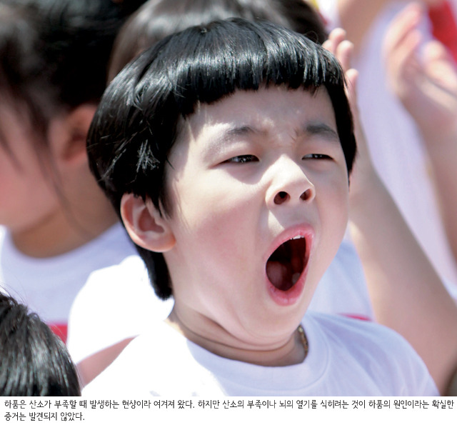 졸릴 때 보면 안 되는 게시물 .jpg | 인스티즈