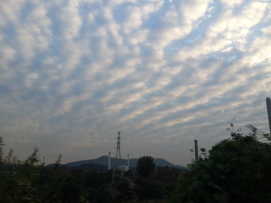 일본의 어느 과학자가 주장한 지진운. 사실이다 vs 터무니없는 소리다 | 인스티즈