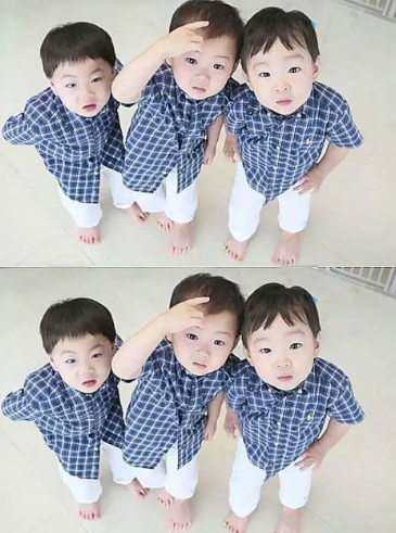 육아 예능 프로에서 대중들에게 큰 사랑을 받고,신드롬을 일으켰던 아가들 | 인스티즈