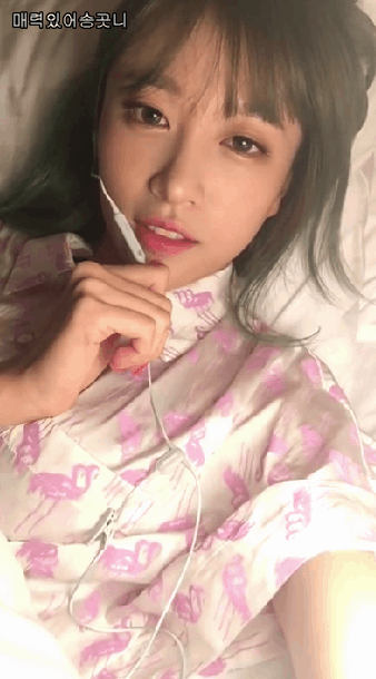 하니가 불러주는 자장가 | 인스티즈