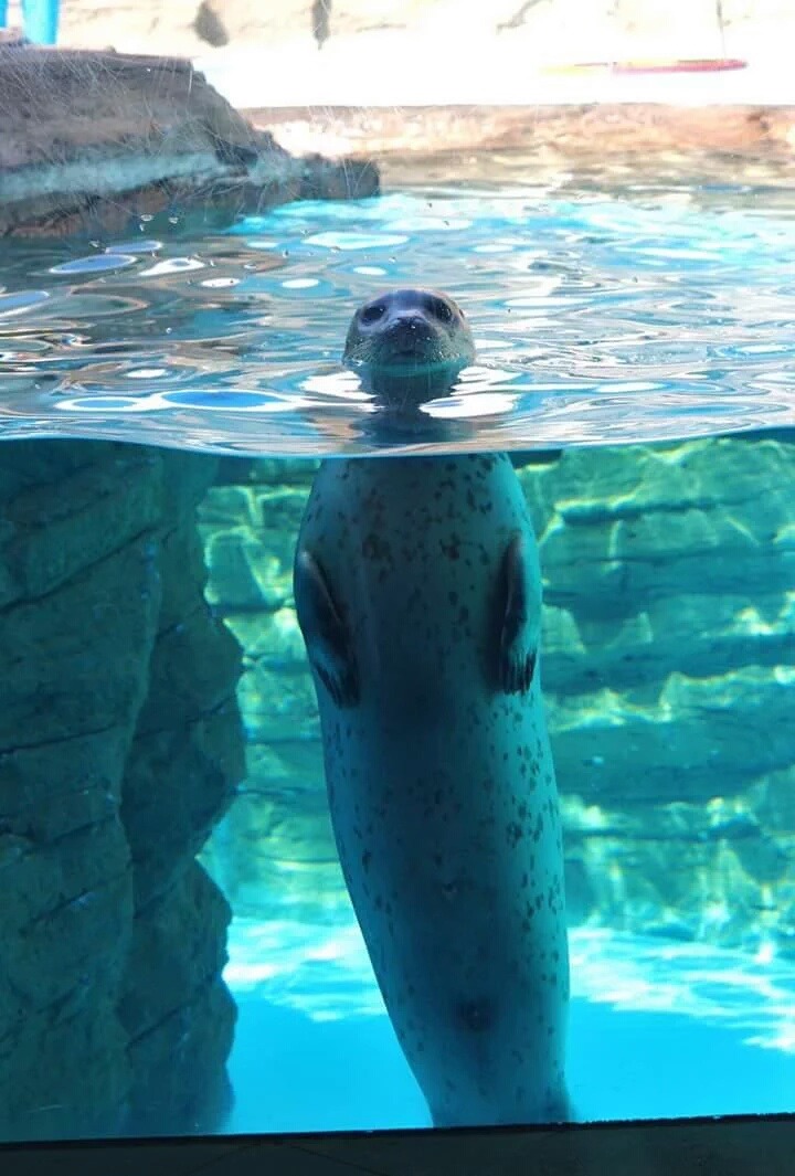 친구 쇼하는거 구경ㅇㅅㅇ | 인스티즈