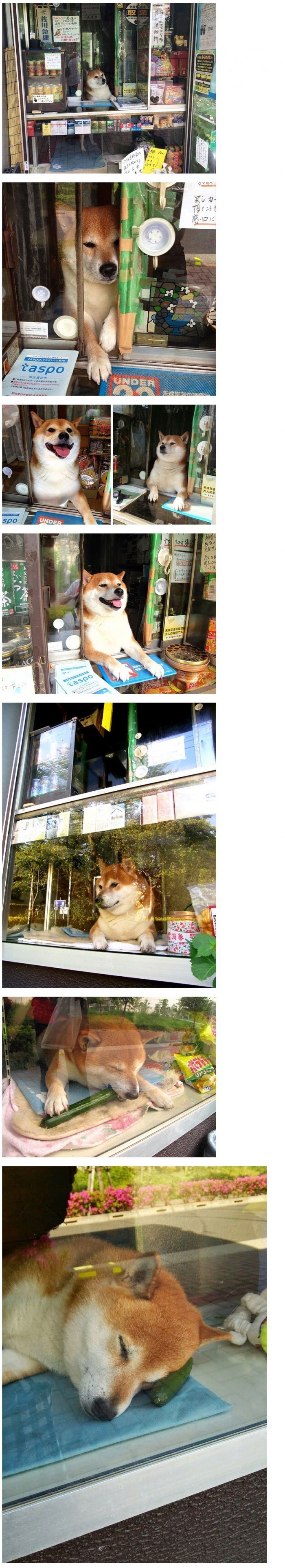 터지는 알바생 | 인스티즈