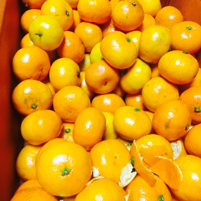 이거싫어하는사람 거의없음 | 인스티즈