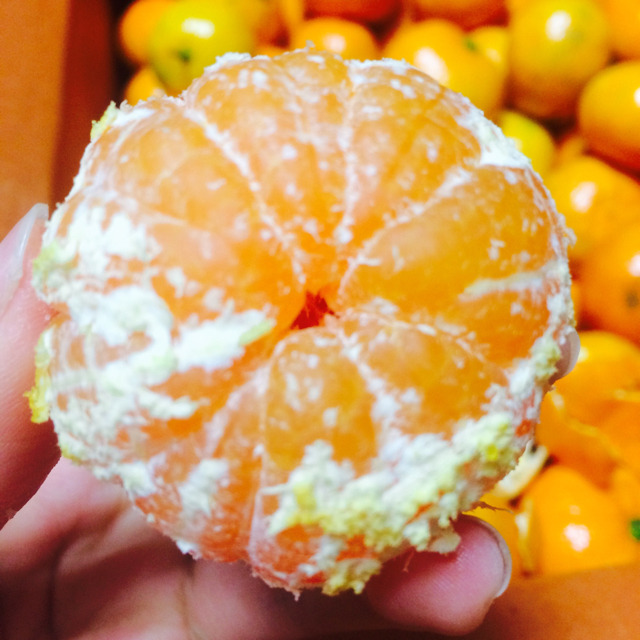 이거싫어하는사람 거의없음 | 인스티즈