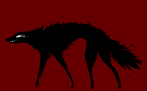 발톱자를때 강아지와 고양이의 차이점 | 인스티즈