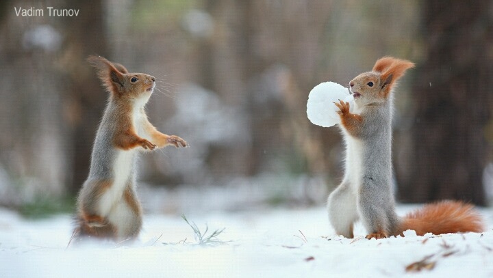 크리스마스 선물이야!!!!!! 잘 받아!!!!!!! | 인스티즈
