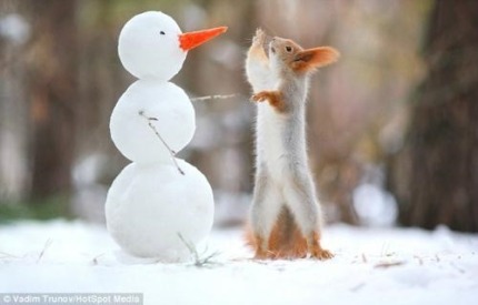 크리스마스 선물이야!!!!!! 잘 받아!!!!!!! | 인스티즈