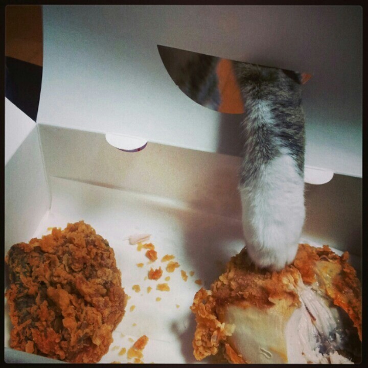 치킨이 탐나냥 | 인스티즈