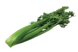 고양이에게 좋은 음식 & 나쁜 음식 | 인스티즈