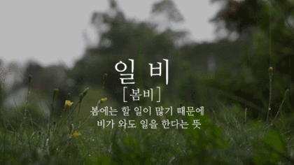 크리스마스에 비가오길 바라며 비와 관련된 예쁜 우리말들 | 인스티즈