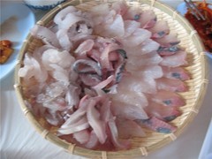 고양이에게 좋은 음식 & 나쁜 음식 | 인스티즈