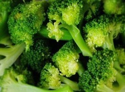 고양이에게 좋은 음식 & 나쁜 음식 | 인스티즈