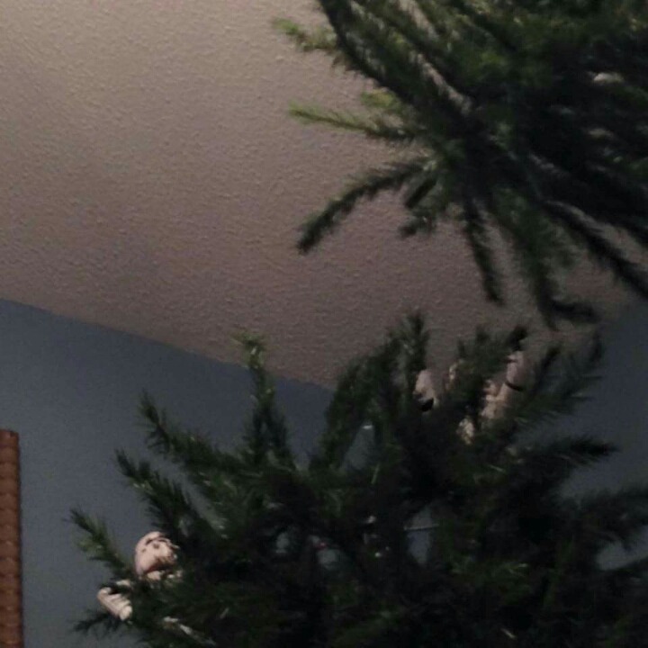 제국의 크리스마스.jpg | 인스티즈