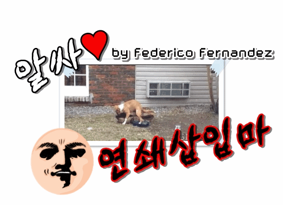 매생이샷.gif | 인스티즈