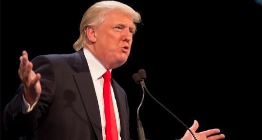 나홀로집에 구라 안치고 천번 봤는데도 몰랐던 사실.jpg | 인스티즈