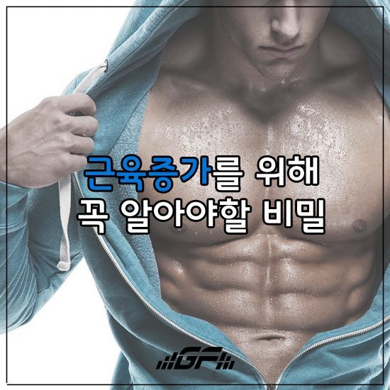 근육증가를 위해 꼭 알아할 비밀 | 인스티즈