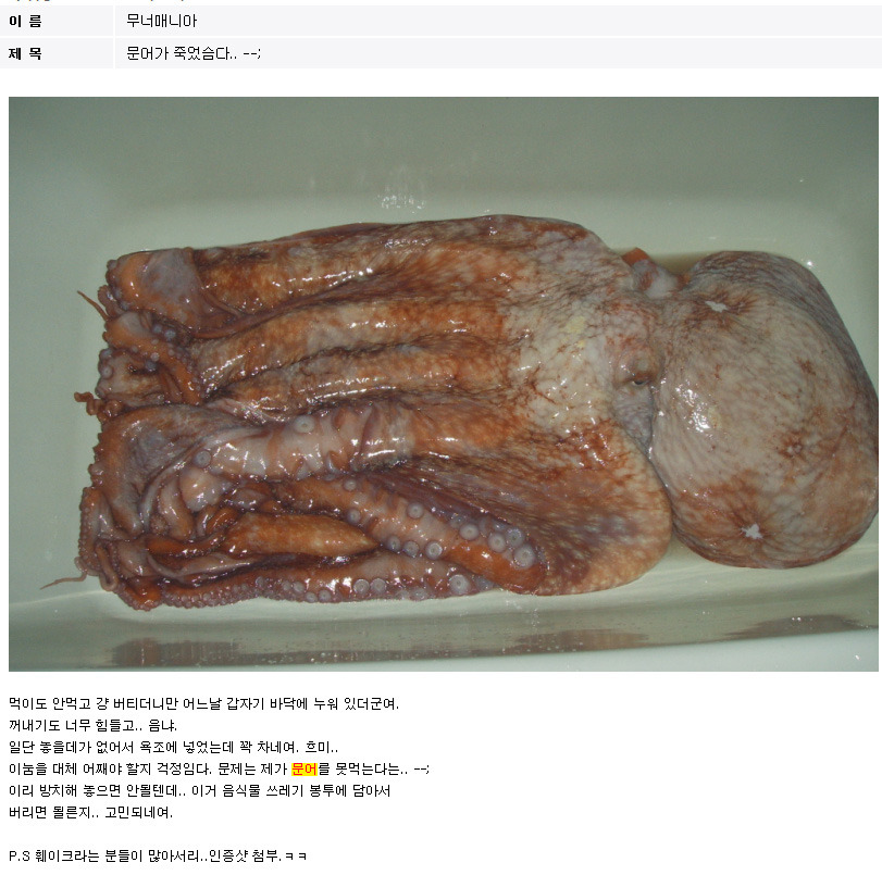 무너매니아 (혐오주의) | 인스티즈