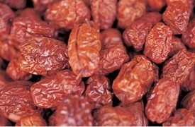 고양이에게 좋은 음식 & 나쁜 음식 | 인스티즈