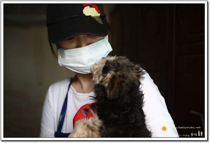 은근 멘탈갑인 송혜교.jpg ㄷㄷ | 인스티즈