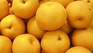 고양이에게 좋은 음식 & 나쁜 음식 | 인스티즈