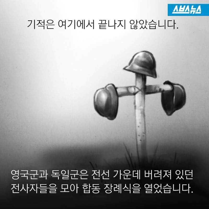 "크리스마스잖아요" | 인스티즈