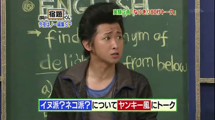 아라시 강아지파vs고양이파 양아치풍으로 이야기하기 | 인스티즈