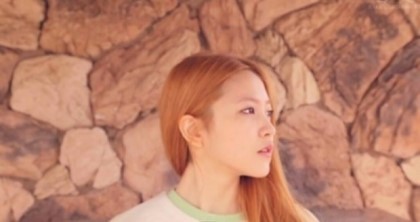 레드벨벳 예리 갈색머리 | 인스티즈