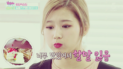 트와이스 사랑둥이 사나 | 인스티즈