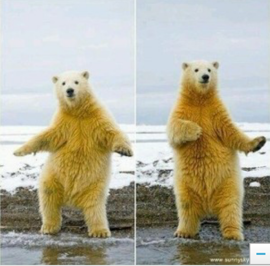 자지 제가 참 좋아하는데요. 제가 한번 먹어보겠읍니다 | 인스티즈