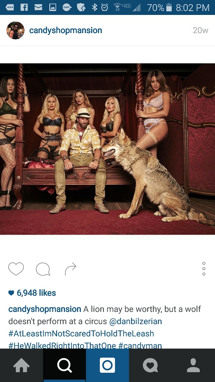 본문 추가. 매일 대저택에서 수십명의 여자들과 파티하는 호주갑부 (15) | 인스티즈