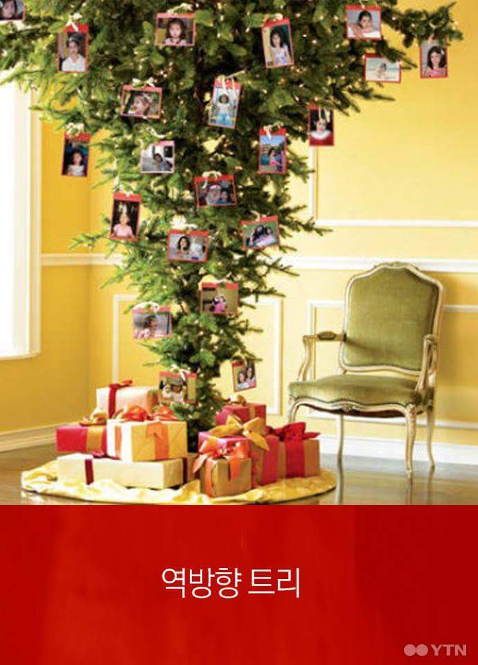 이런 트리 본 적 있나요? | 인스티즈