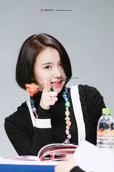 대놓고 영업으로 올리는 트와이스 채영 | 인스티즈