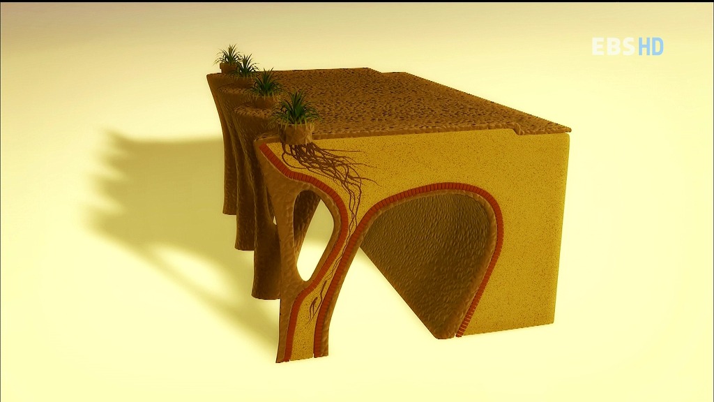 알아두면 남들앞에서 잘난척하기 좋은 건축이야기.jpg | 인스티즈