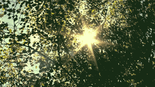 설득에 관한 12가지 명언 bgm | 인스티즈