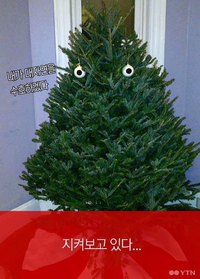 이런 트리 본 적 있나요? | 인스티즈