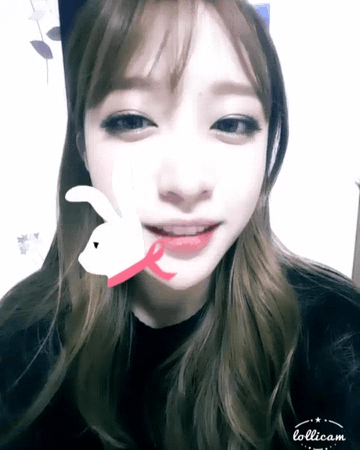 귀여운 하니.gif | 인스티즈