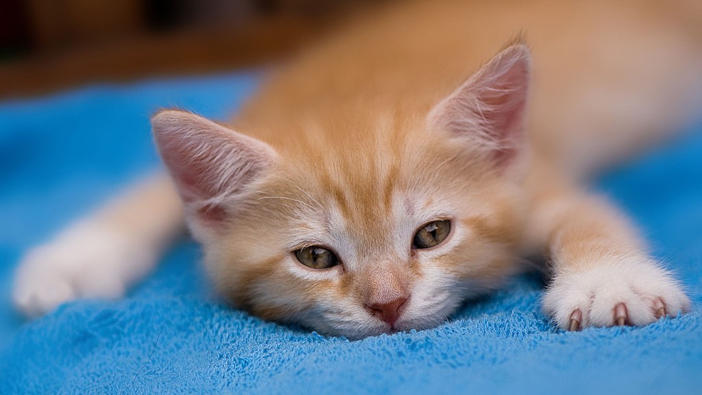 이제 컴터 끄고 주무세요.jpg | 인스티즈