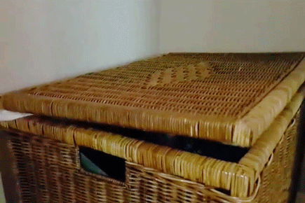 똑똑 서준이 있어요~? (feat. 똑똑놀이) | 인스티즈