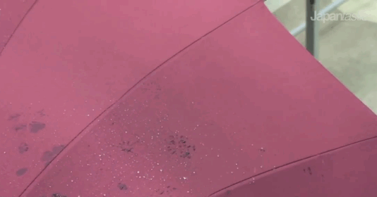 비오면 무늬가 생기는 우산 | 인스티즈