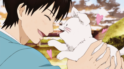 상견례 프리패스상 2D 모음 | 인스티즈