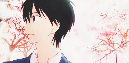 상견례 프리패스상 2D 모음 | 인스티즈