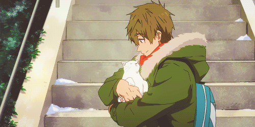 상견례 프리패스상 2D 모음 | 인스티즈