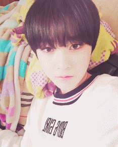 Image and video hosting by TinyPic